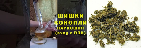 бошки Алексин