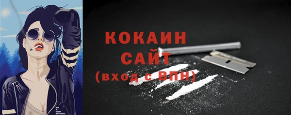 бошки Алексин